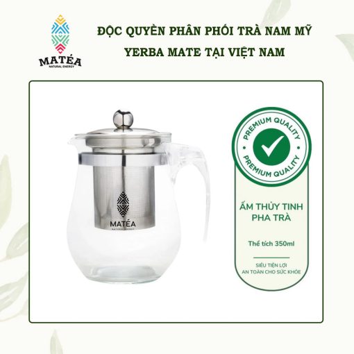 Bình thủy tinh pha trà Yerba Mate 350ml, lõi lọc inox lỗ siêu nhỏ chuyên dụng cho: Trà Nam Mỹ Yerba Mate, trà xanh, phổ nhĩ, hoặc cà phê các loại...