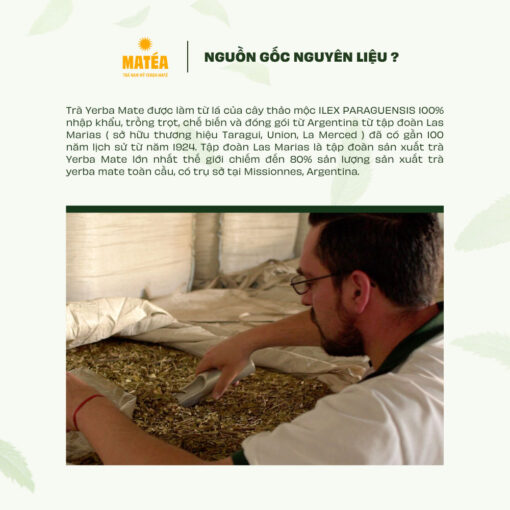 Trà Yerba Mate vị hạt Guarana 500gr - Cbse Guarana kết hợp với chiết suất tự nhiên từ hạt Guarana của rừng Amazon và hai loại thảo mộc đặc trưng của Nam Mỹ.